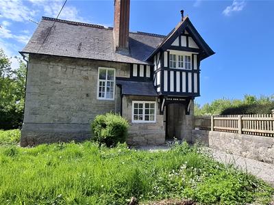 Picture 13